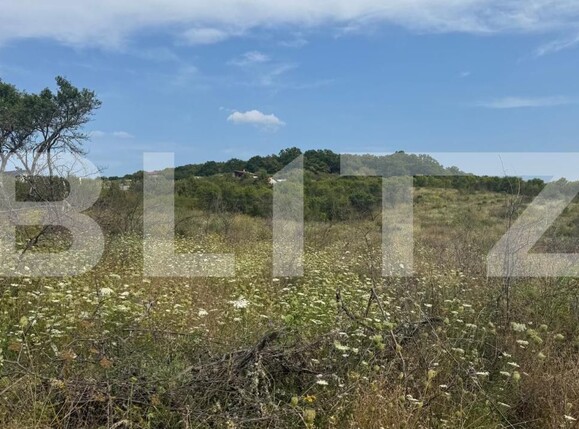 Teren de vânzare Sud-Vest - 146855TV | BLITZ Bistriţa | Poza4