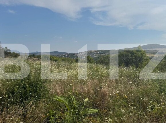 Teren de vânzare Sud-Vest - 146855TV | BLITZ Bistriţa | Poza6