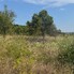 Teren de vânzare Sud-Vest - 146855TV - Poza 1 din 7 | BLITZ Bistriţa | Poza7