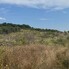 Teren de vânzare Sud-Vest - 146855TV - Poza 1 din 7 | BLITZ Bistriţa | Poza4