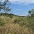 Teren de vânzare Sud-Vest - 146855TV - Poza 1 din 7 | BLITZ Bistriţa | Poza2