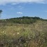 Teren de vânzare Sud-Vest - 146855TV - Poza 1 din 7 | BLITZ Bistriţa | Poza3