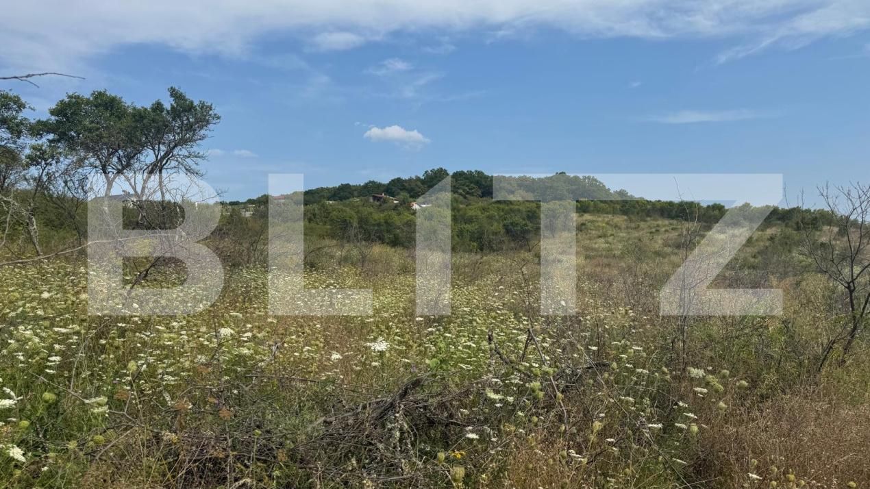 Teren de vânzare Sud-Vest - 146855TV | BLITZ Bistriţa | Poza4