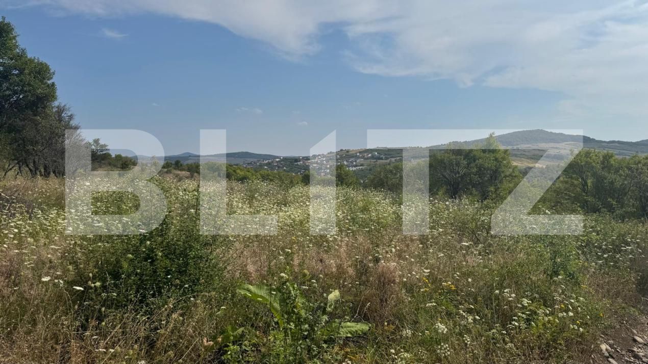Teren de vânzare Sud-Vest - 146855TV | BLITZ Bistriţa | Poza6