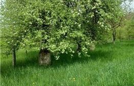 Teren de vânzare Unirea, Bistriţa