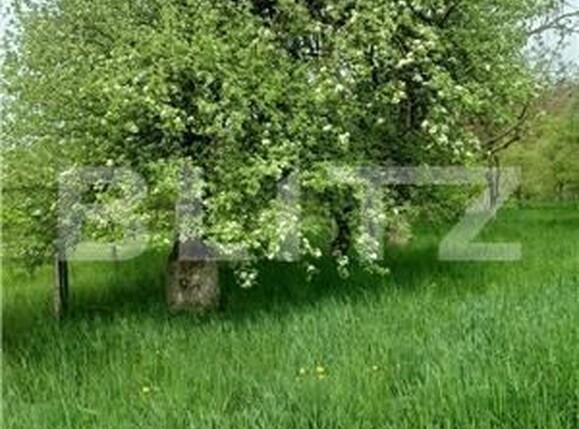 Teren de vânzare Unirea - 146861TV | BLITZ Bistriţa | Poza1