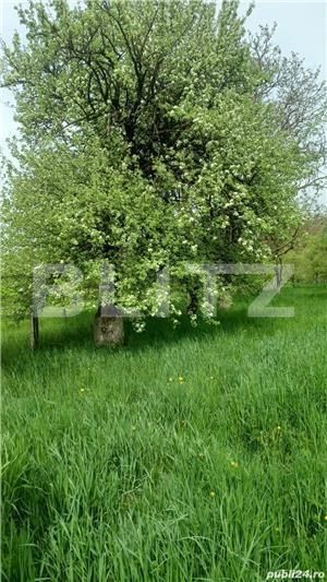 Teren de vânzare Unirea - 146861TV | BLITZ Bistriţa | Poza1