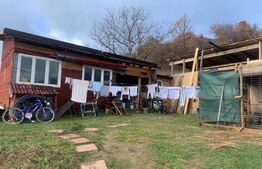 Teren, 6700 mp, zona Livezile