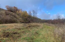 Teren, 6700 mp, zona Livezile