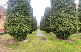 Casa 5 dormitoare, 450 mp utili, 16 arii teren, zona Str Lucian Blaga