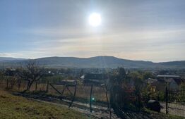 Teren extravilan Unirea 10000mp