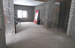 Casa de vanzare budacu de sus 240 mp utili, teren 11.5 ari