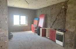 Casa de vanzare budacu de sus 240 mp utili, teren 11.5 ari