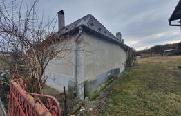 Casa individuala + 7,1 ha de teren dispersat, in Pinticu