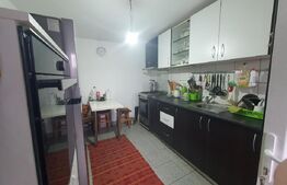 Casa individuala + 7,1 ha de teren dispersat, in Pinticu