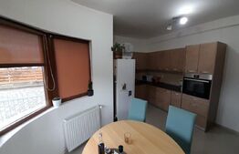 Duplex mobilat si utilat,102mp.utili, 250mp teren, zona Valea Rusului