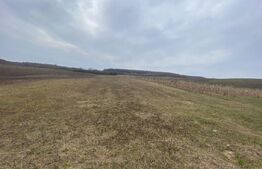 TEREN EXTRAVILAN 25 ARII, Jelna