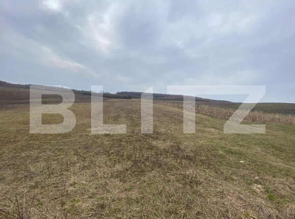 Teren de vânzare Exterior Est - 147019TV | BLITZ Bistriţa | Poza1