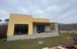 2 CASE + teren de vanzare Valea Ghinzii