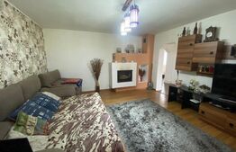 2 CASE + teren de vanzare Valea Ghinzii