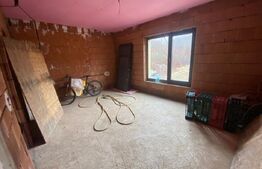 2 CASE + teren de vanzare Valea Ghinzii