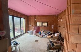 2 CASE + teren de vanzare Valea Ghinzii