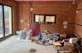 2 CASE + teren de vanzare Valea Ghinzii