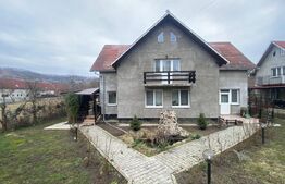 2 CASE + teren de vanzare Valea Ghinzii