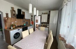 2 CASE + teren de vanzare Valea Ghinzii