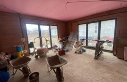 2 CASE + teren de vanzare Valea Ghinzii