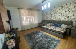 2 CASE + teren de vanzare Valea Ghinzii