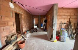 2 CASE + teren de vanzare Valea Ghinzii