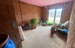 2 CASE + teren de vanzare Valea Ghinzii