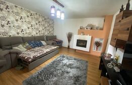 2 CASE + teren de vanzare Valea Ghinzii