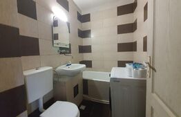 Garsoniera de inchiriat, 20 mp, balcon, zona Calea Moldovei 