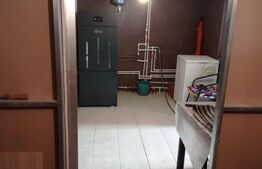 Casa la 6 km de Bistrita cu 25 ari de pamant