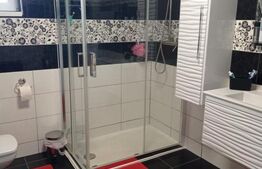 Casa la 6 km de Bistrita cu 25 ari de pamant