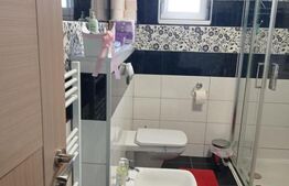 Casa la 6 km de Bistrita cu 25 ari de pamant