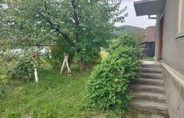 Casa pitoreasca în Viile Tecii cu o grădina de 26 de arii 