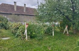 Casa pitoreasca în Viile Tecii cu o grădina de 26 de arii 