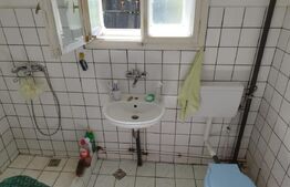 Casa pitoreasca în Viile Tecii cu o grădina de 26 de arii 