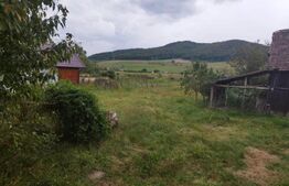 Casa pitoreasca în Viile Tecii cu o grădina de 26 de arii 