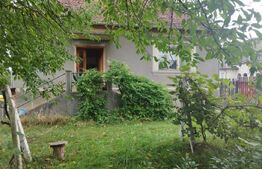 Casa pitoreasca în Viile Tecii cu o grădina de 26 de arii 