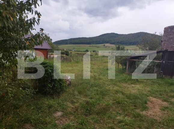 Casa de vânzare 2 camere Exterior Sud - 147102CV | BLITZ Bistriţa | Poza6