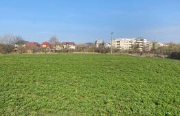 Teren intravilan, 1000mp, Sud