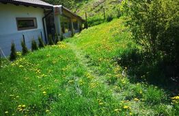 Casa 4 camere, 170mp, zona RALL