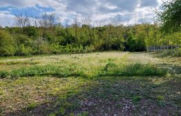 Casa in zona linistita, 4 camere, 142 mp utili, Exterior Vest