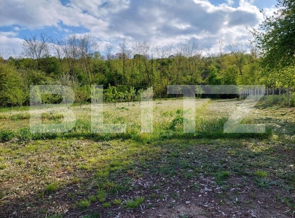 Casa de vânzare 4 camere Exterior Vest - 147376CV | BLITZ Bistriţa | Poza9