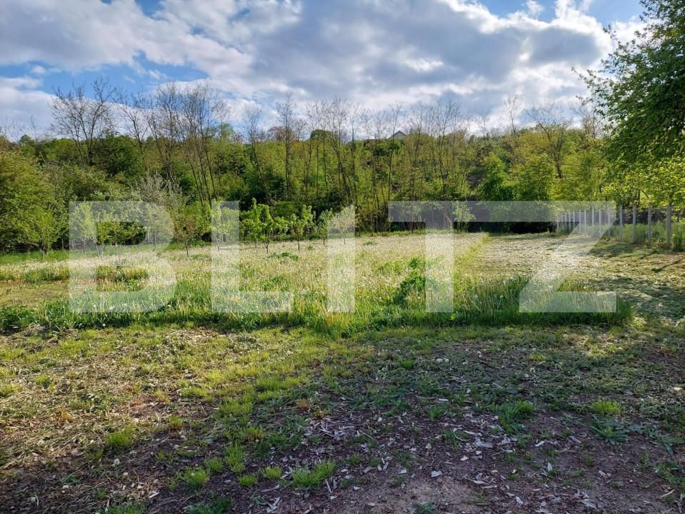 Casa de vânzare 4 camere Exterior Vest - 147376CV | BLITZ Bistriţa | Poza9