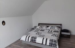 Casa spatioasa, pe teren de 680 mp, zona Centura